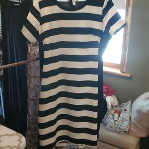 Eloquii black and white knit dress